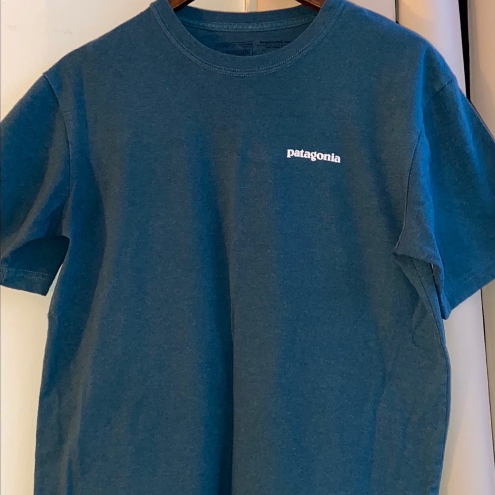 Patagonia men’s shirt